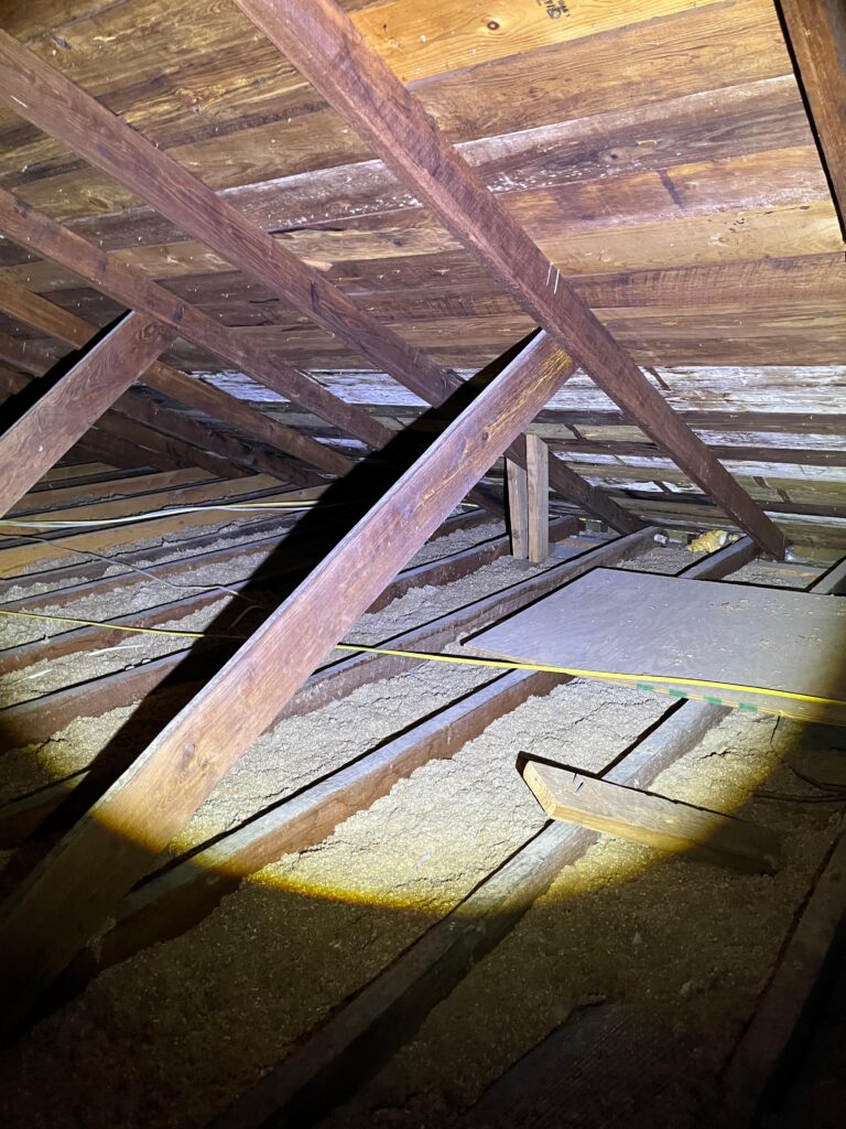 Roof Structure Inspection